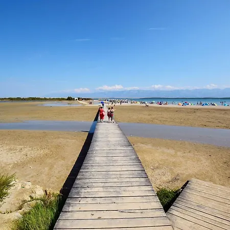 Terezija *